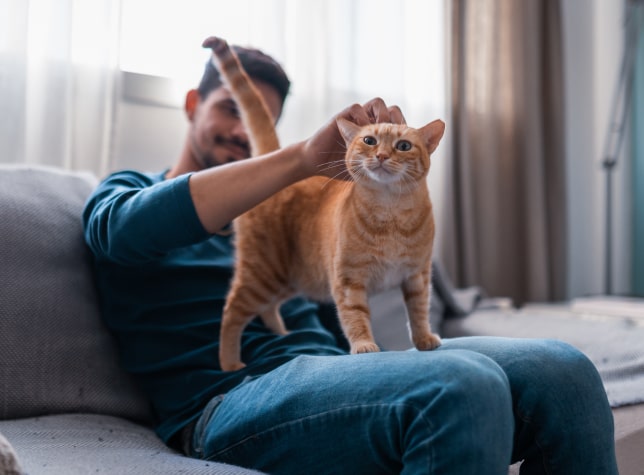Adopt a pet with The Breeders Showcase